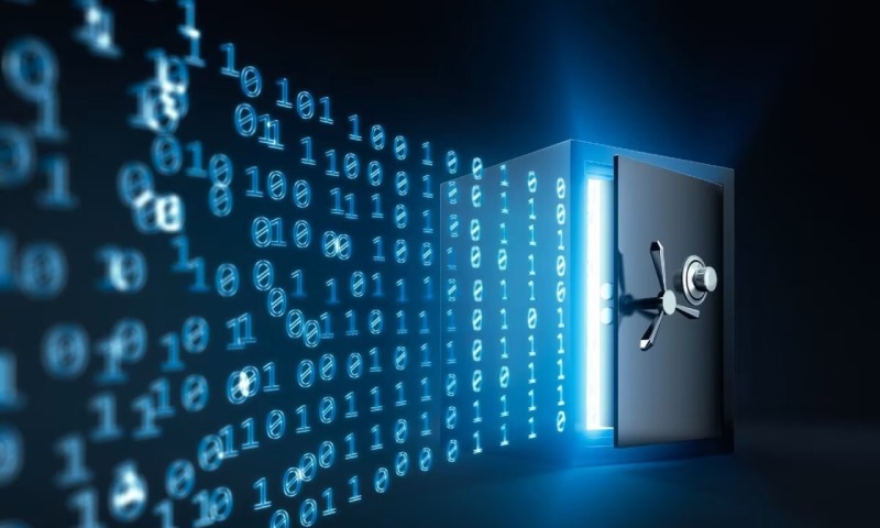 港口区软件定制新篇：Python领航，精准契合个性化需求