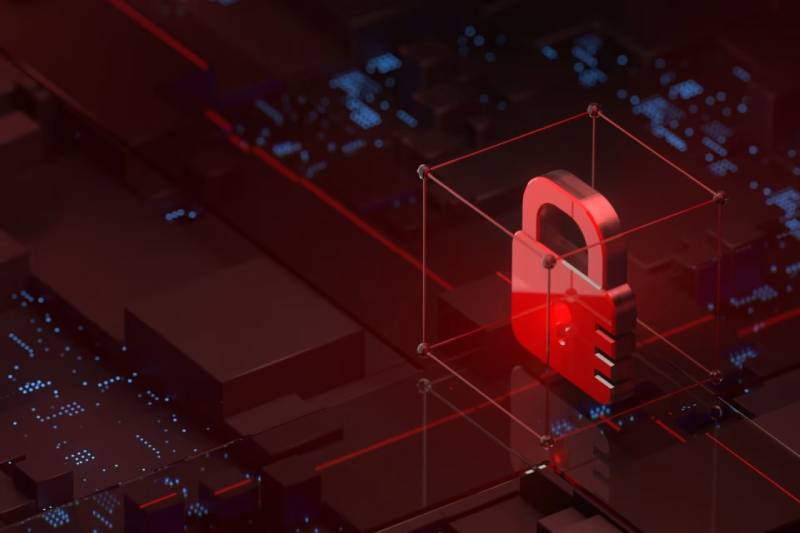信创浪潮下的协同进阶：港口区软件开发公司助力ERP与多系统信创适配